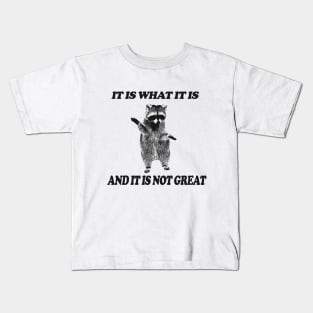 It Is What It Is And It Is Not Great Raccoon Shirt - Vintage Drawing T Shirt, Raccoon Meme T Shirt, Funny Y2K Tee Shirt, Unisex Kids T-Shirt